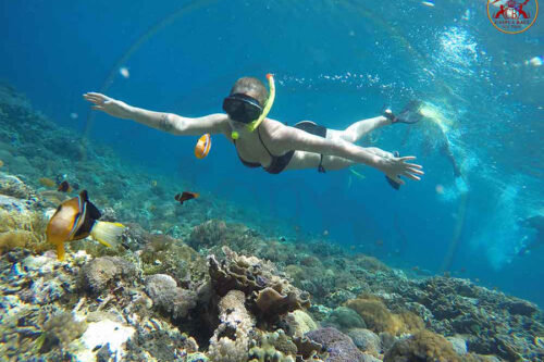 Top Snorkeling Tours in Nusa Penida: Swim with Manta Rays and Colorful Fish