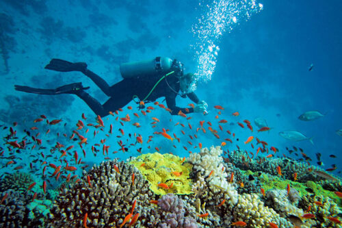 water sports menjadi best tour in bali yang wajib dicoba!