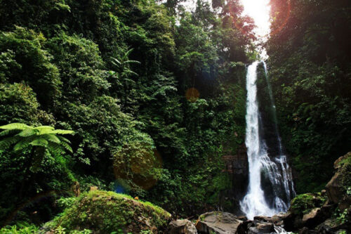 Bali Tour Waterfall for an Exciting Experience in the Middle of Bali Nature