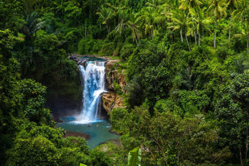 Bali Tour Waterfall for an Exciting Experience in the Middle of Bali Nature