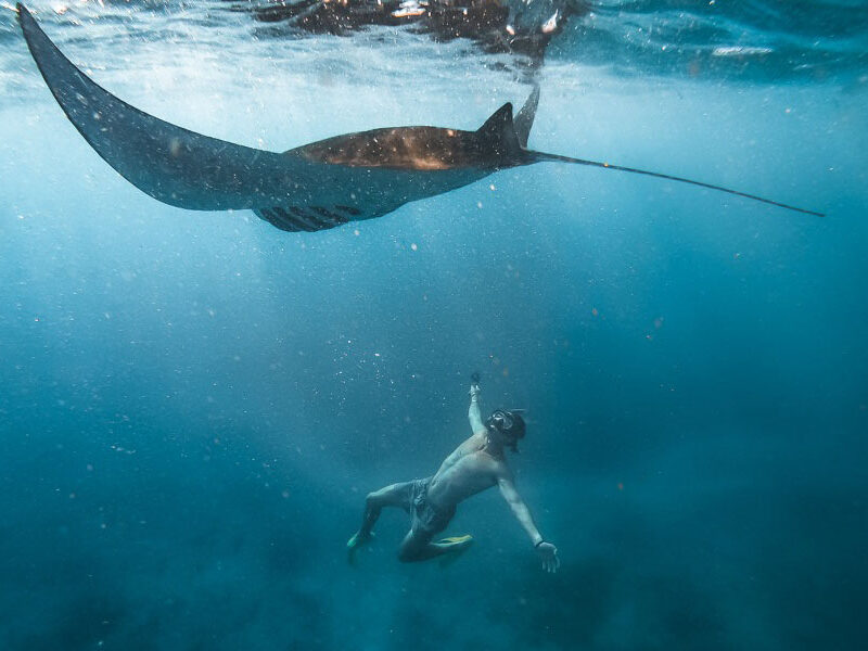 nusa penida snorkeling-manta bay