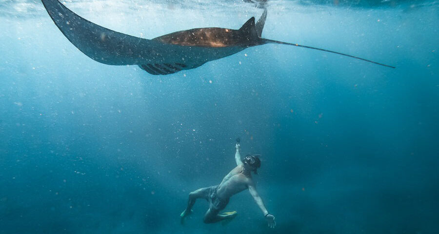 nusa penida snorkeling-manta bay