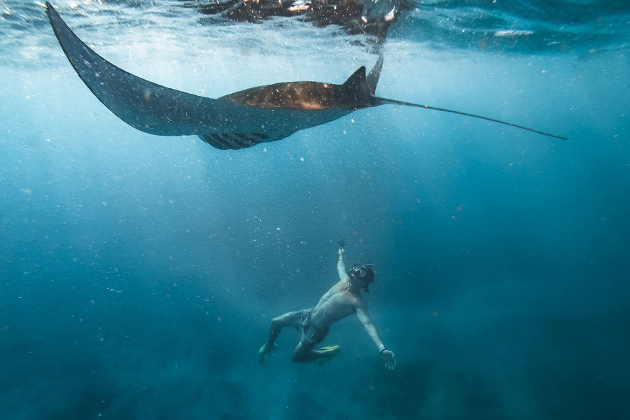 nusa penida snorkeling-manta bay