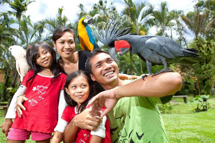 bali bird park and ubud