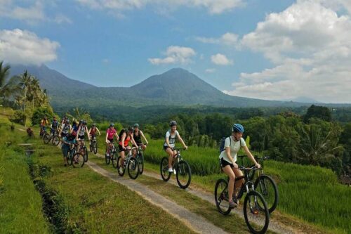 Cycling Tours