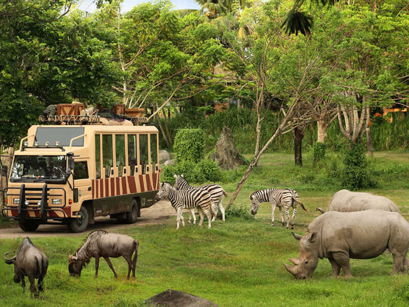 bali safari and marine park