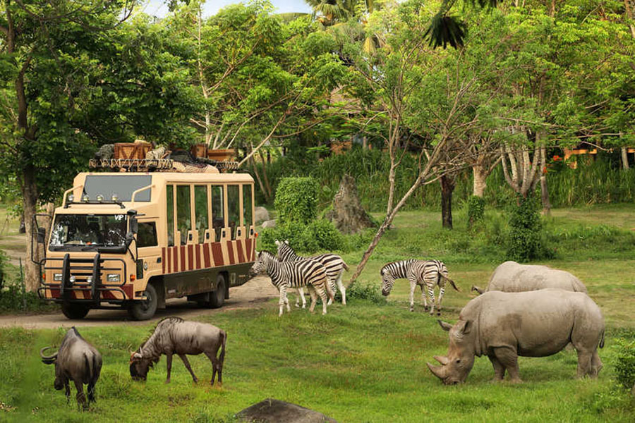 bali safari and marine park