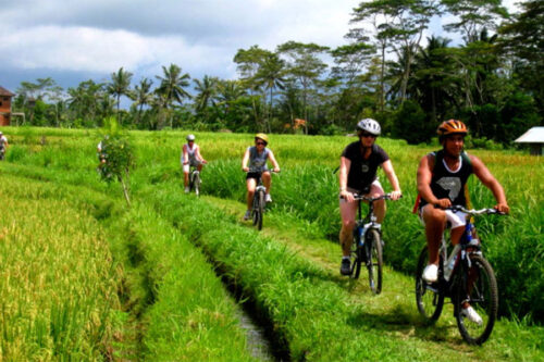 come on and try the best bali tours adventure activities