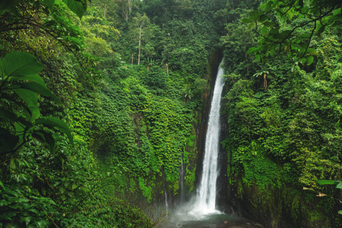 munduk waterfall - buleleng interesting places to visit - bali touristic