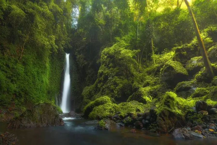 colek pamor waterfall - buleleng interesting places to visit - bali touristic