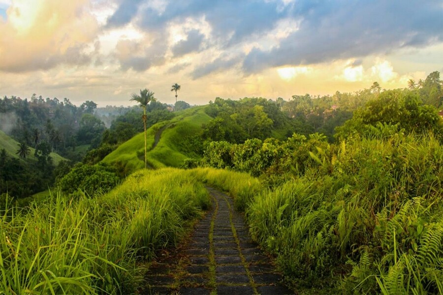 campuhan ridge walk - gianyar interesting places to visit - bali touristic