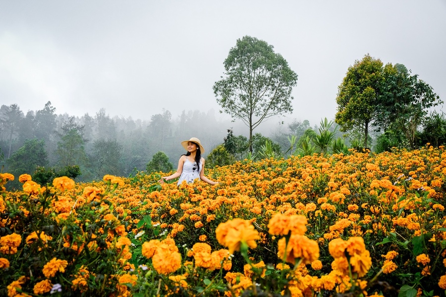 gemitir garden - badung interesing places to visit - bali touristic