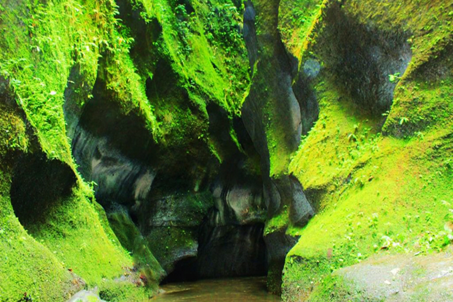 hidden green canyon undisan - bangli interesting places to visit - bali touristic